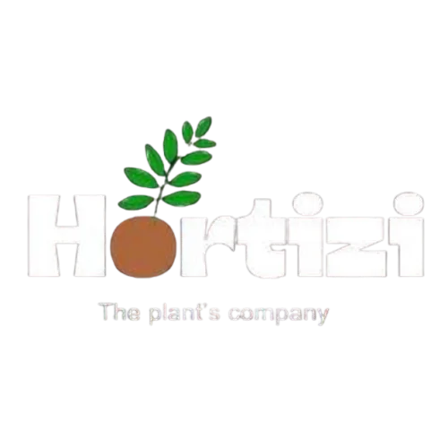 Hortizi
